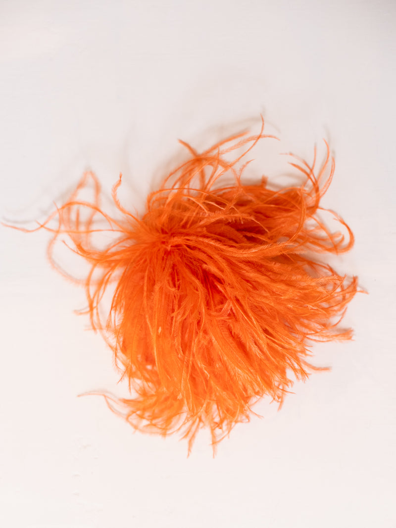 【INDRESS/インドレス】 Ostrich feacher broach INDRESS/インドレス】 Ostrich feacher broach - メルカリ