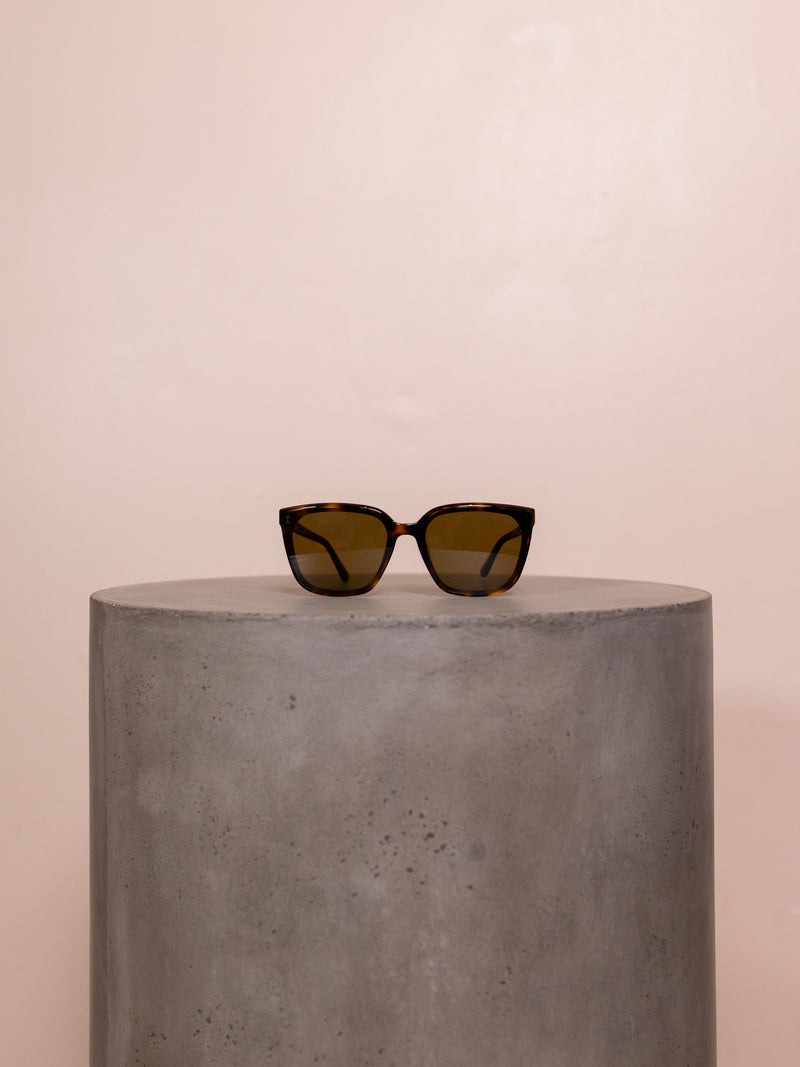 Dark brown sunglasses on pedestal against pink background.