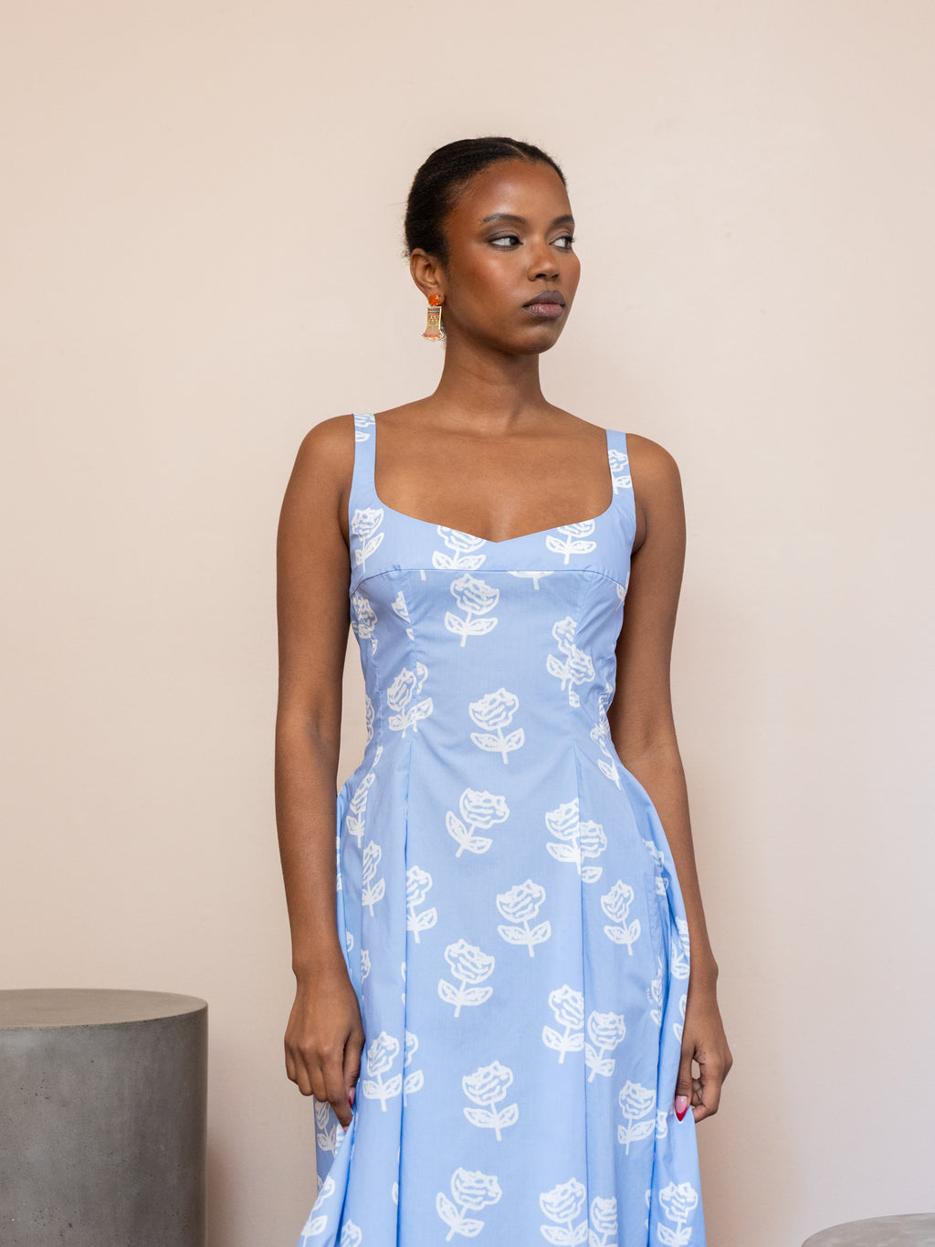 Sprayed Roses Fit Flare Dress