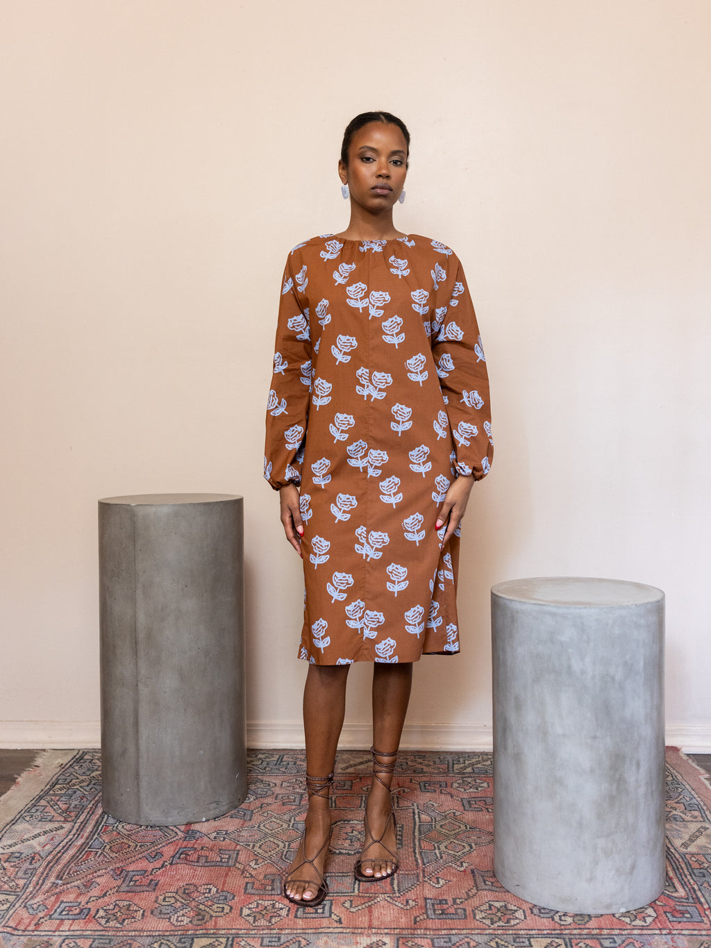 Poplin Midi Dress with Sprayed Roses