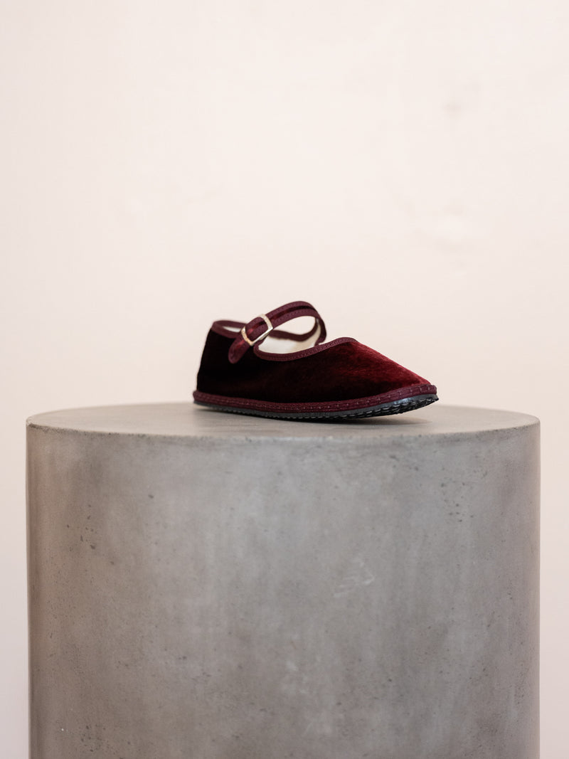 Mary Jane Satin Velvet Shoe
