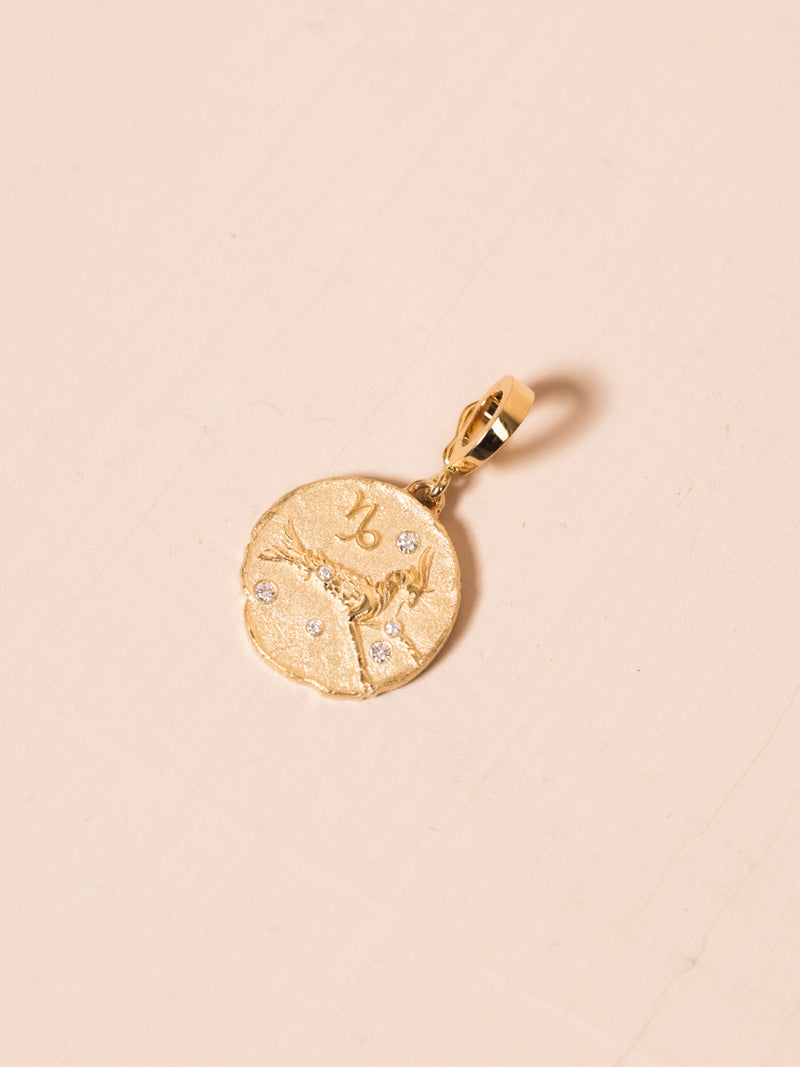 Capricorn Small Coin Charm